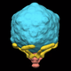 Illustration for article titled This Is What a Virus Infecting a Cell Looks Like